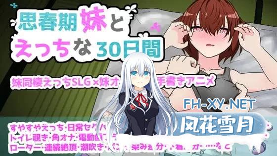 [SLG/中文/动态]用欺骗性催眠进行洗脑后，变得爱上强奸犯的慵懒淡漠猫女仆[NTR]官方中文版[新作][2.2G]